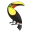 BeachParrot