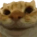 Sisi