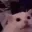 CatRageFlash