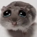 cry cry