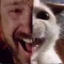 kkkk