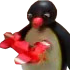 pingu_plane Discord emoji