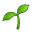 LifeBorn