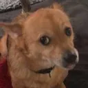 sideeye