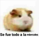 CuyPesimista2