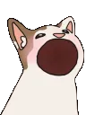 yapthern
