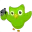 duolingo