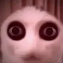 HelloAjax