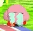 kirbcri