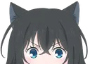 fran fran