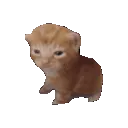 SGoitospin
