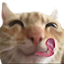 catlick catlick