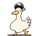 duckdancing duckdancing