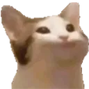 PauseCat