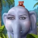 choquei