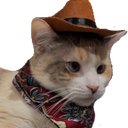 :catcowboy:
