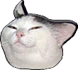 :CatSmug: