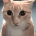 gluh