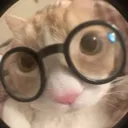 nerdy