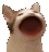 catpop