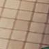 SchoolCircleHijinks SchoolCircleHijinks