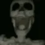 skullfan