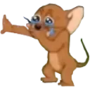 8100jerrycry