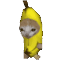 bananacatrun Discord emoji