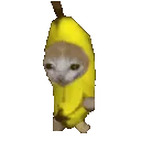 c_bananacatrun