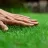 TouchGrass TouchGrass