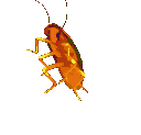 Bugspin