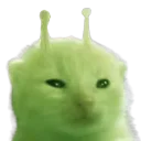 glorp
