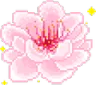 00pinkflower