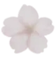 02whiteflower
