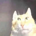 CarExplode
