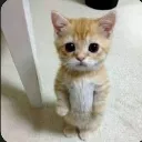 emoji_39