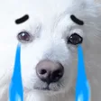 jzrSAD