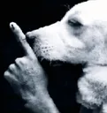 shush