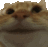 :catnod: :catnod: