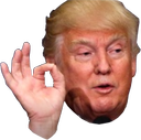 Donald Trump making the OK hand gesture with a smug expression.