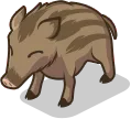 TrufflePigLeo TrufflePigLeo