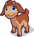 Goat1Caramel