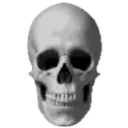 sans