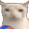 CatEat