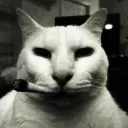 ccuh