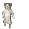 catGrooveButFast catGrooveButFast