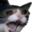 WAAAAA
