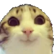 hehejokes