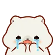 Cry