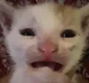 why